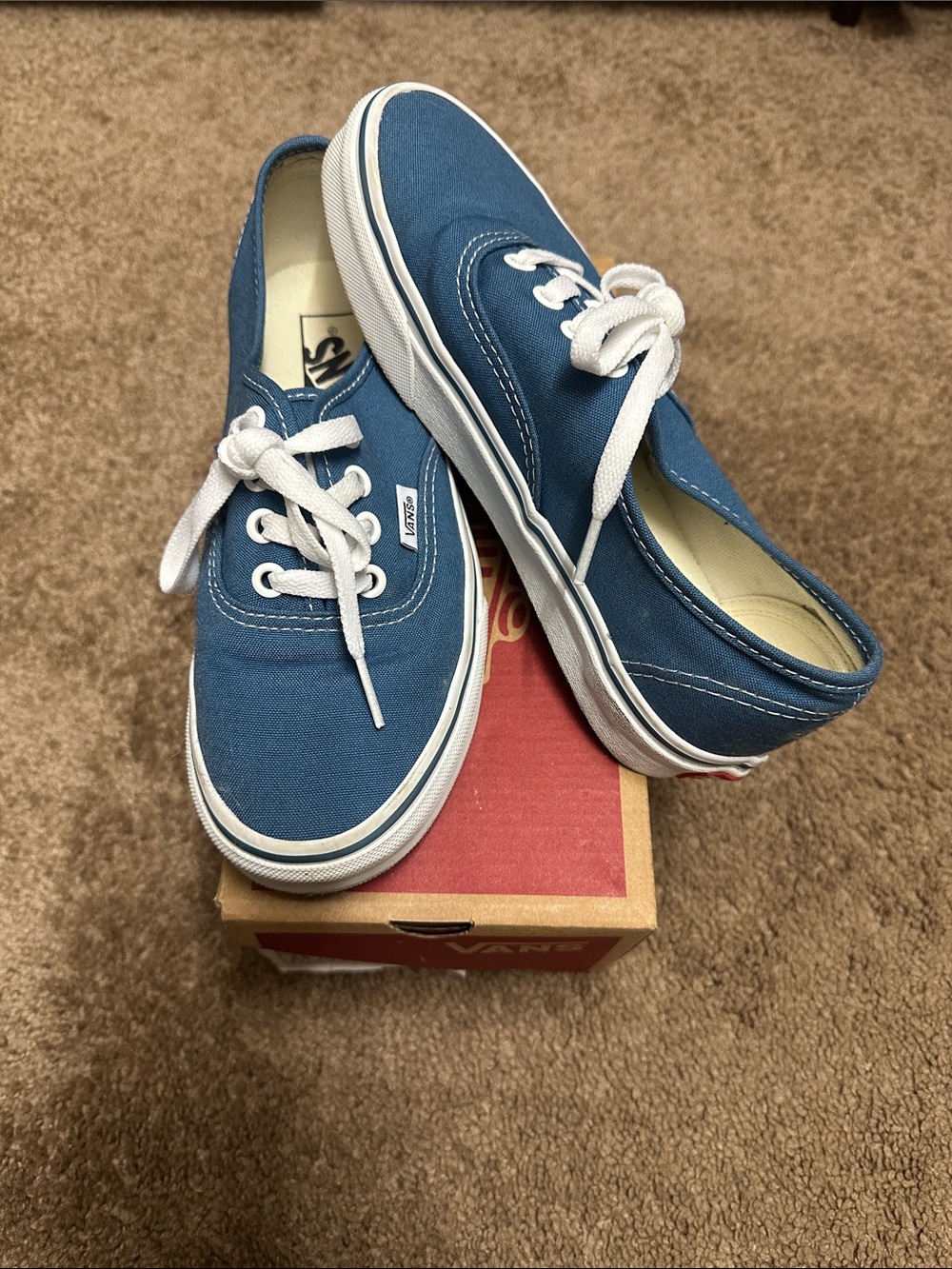 Vans Low-Top Canvas Sneakers in Blue with White Accents